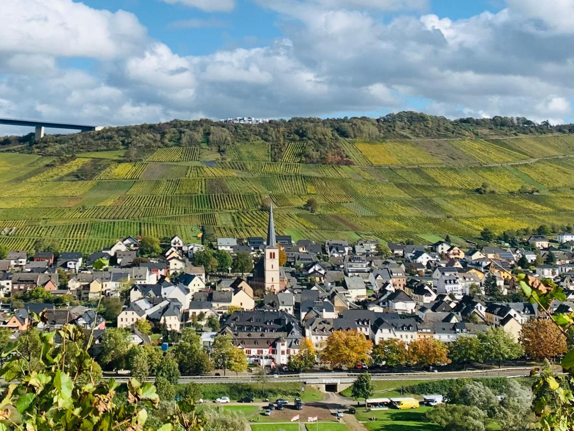 Weinhof Michael Morbach Hotel Zeltingen-Rachtig Eksteriør billede