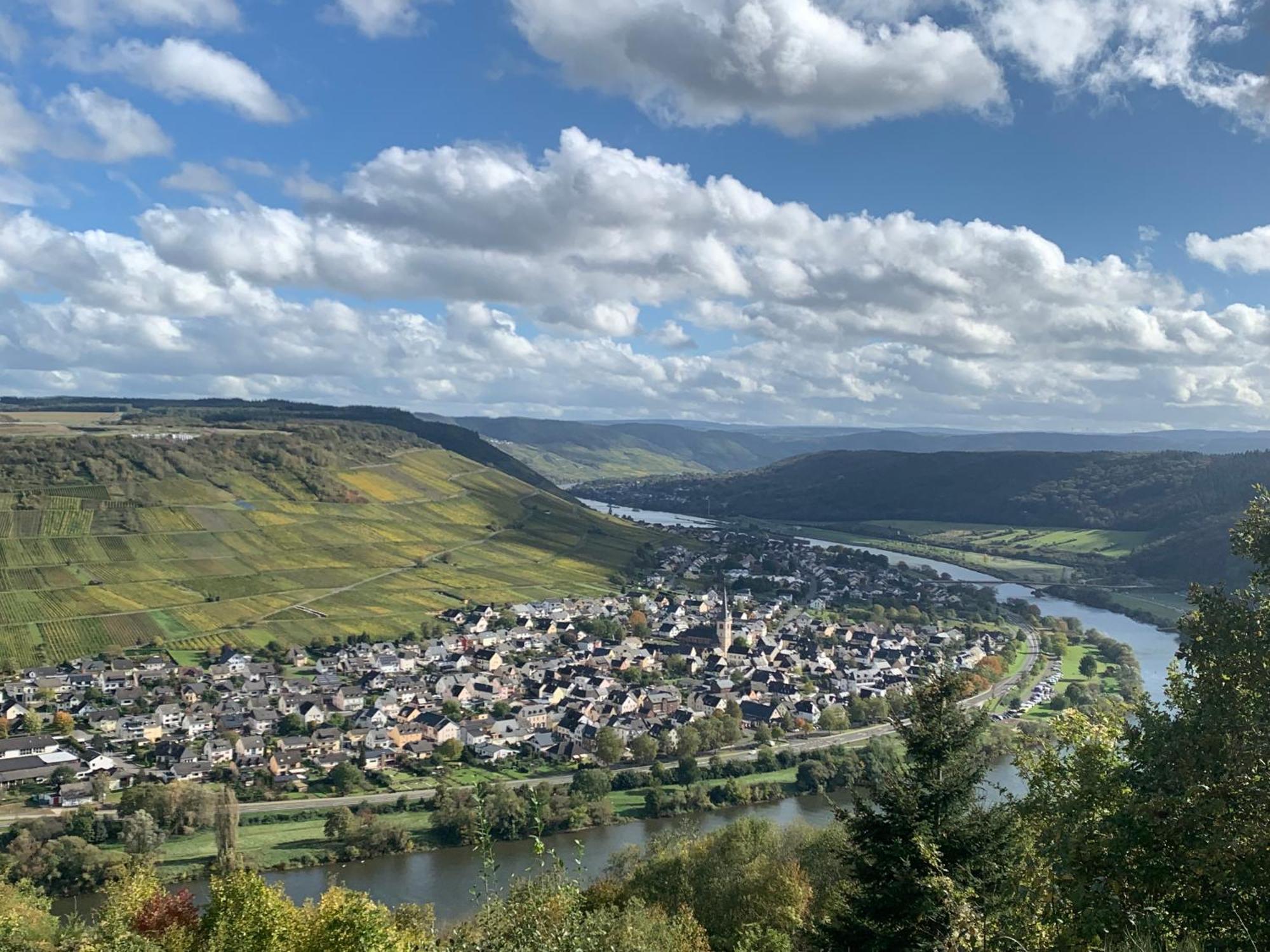 Weinhof Michael Morbach Hotel Zeltingen-Rachtig Eksteriør billede